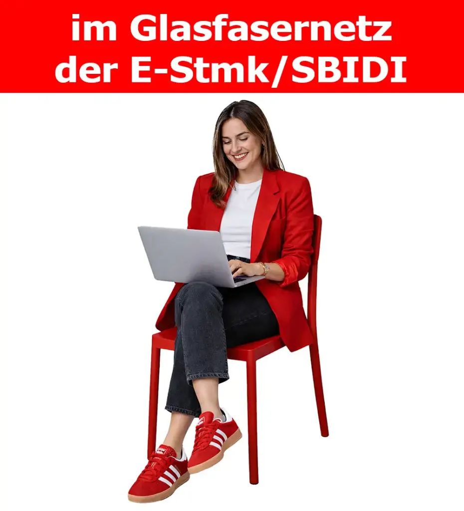 Fiber-Business STMK 1000/1000