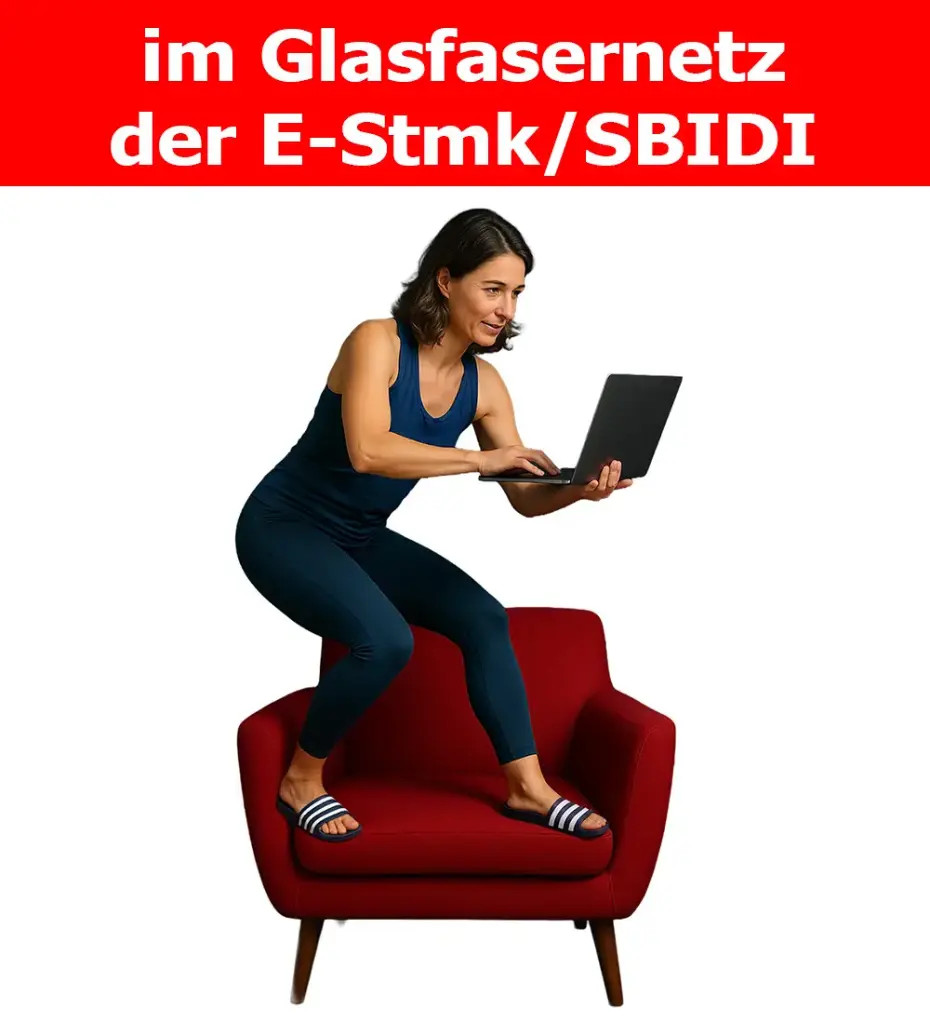 Fiber-Speed STMK 1000/1000