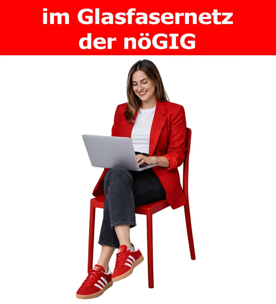 Fiber-Business nöGIG 1000/300