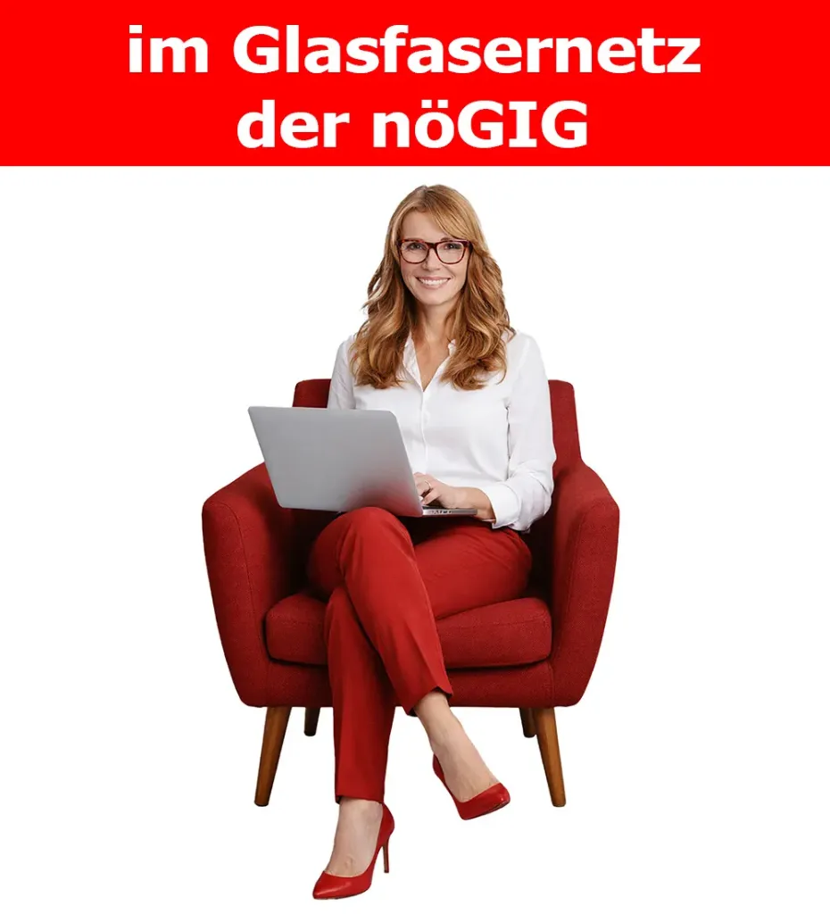 Fiber-Business nöGIG 250/100